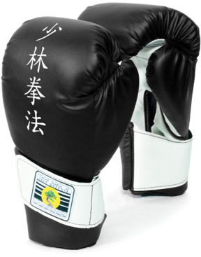 Ussd Sparring Gloves - Glove (600x600), Png Download