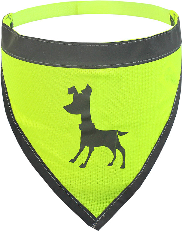 Visibility Dog Bandanas - Alcott Essentials Visibility Dog Bandana Neon Orange (1000x1000), Png Download
