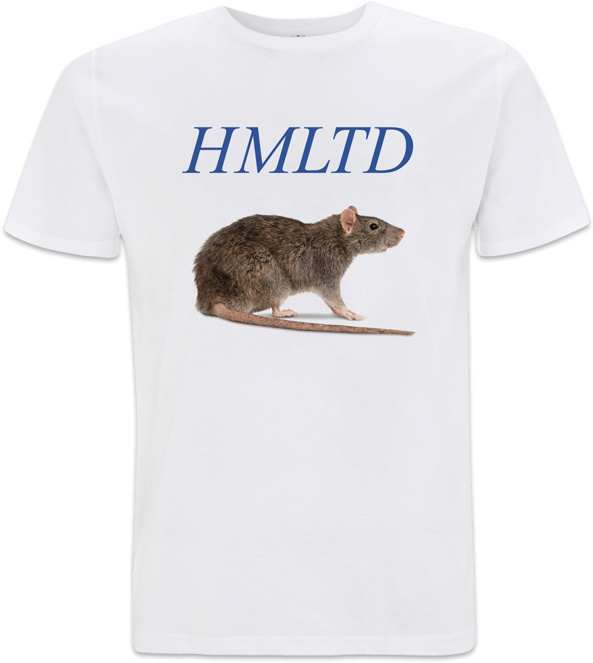 Double Tap To Zoom - Big Moon T Shirt (1100x1100), Png Download