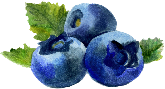 Blueberry (650x651), Png Download