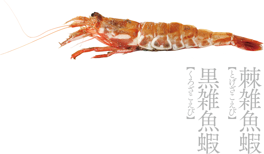 Gasu-ebi - Kanazawa (1000x564), Png Download