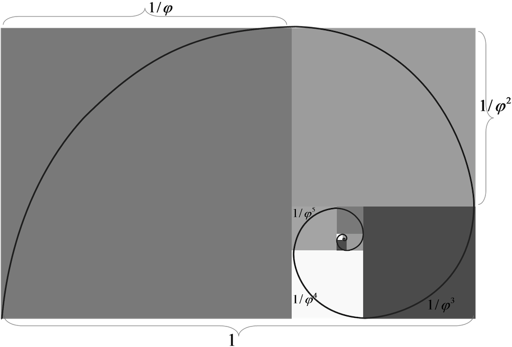 The Golden Ratio Is Everywhere - Circle (1024x699), Png Download