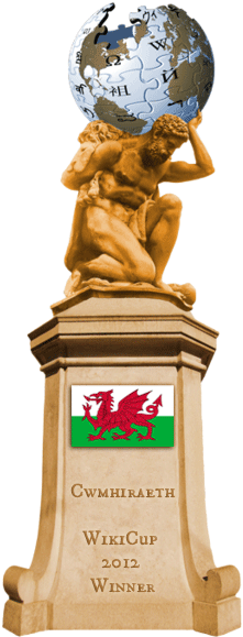 Wikicup Winner 2012 Trophy - Annin Flagmakers 4 Ft X 6 Ft Nylon Wales H Flag With (229x598), Png Download