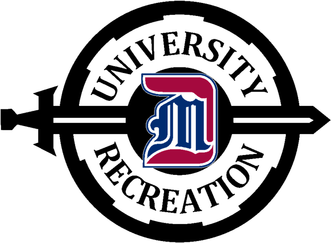 Detroit Mercy - Detroit Mercy Titans Canvas Wall Art Banner Design (800x618), Png Download