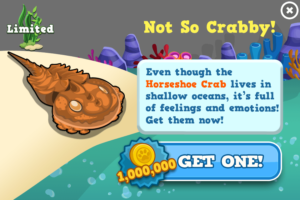 Horseshoe Crab Modal - Horseshoe Crab (960x640), Png Download