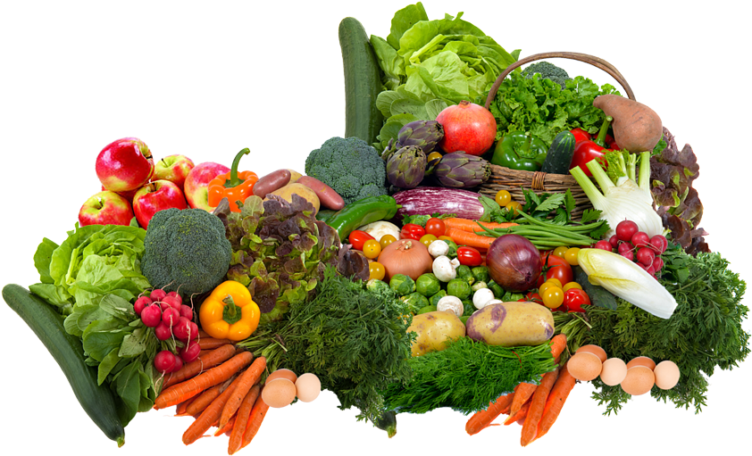 The Lewis Family Philosophy - Sri Lankan Fruits And Vegetables (850x568), Png Download