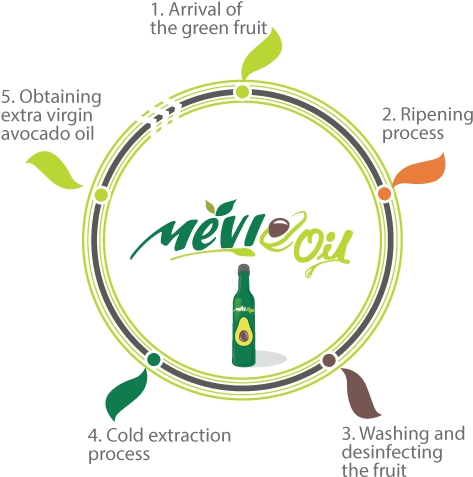 Cicle-mobile - Circle (500x484), Png Download