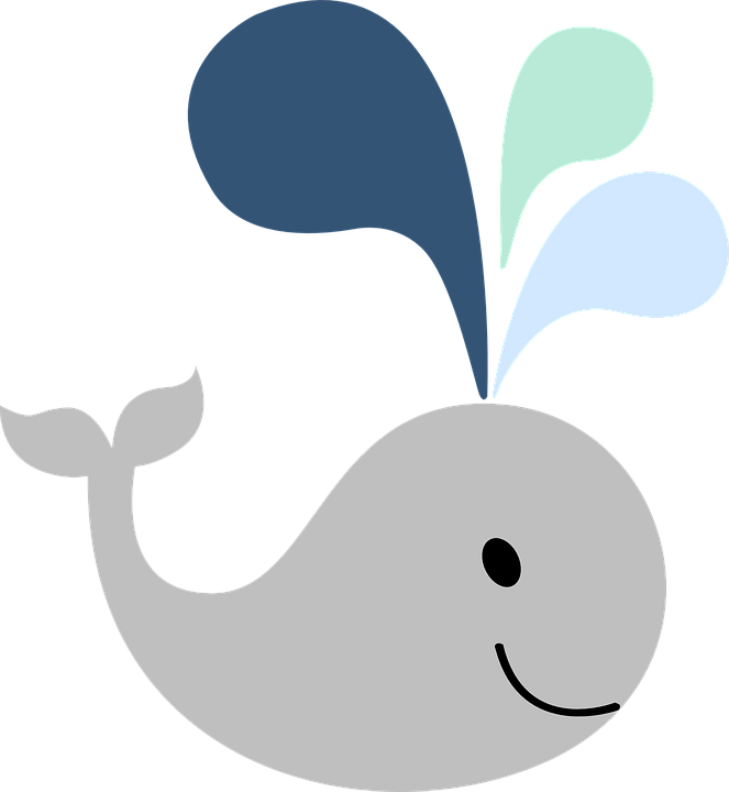 How To Set Use Little Gray Whale Clipart (552x599), Png Download
