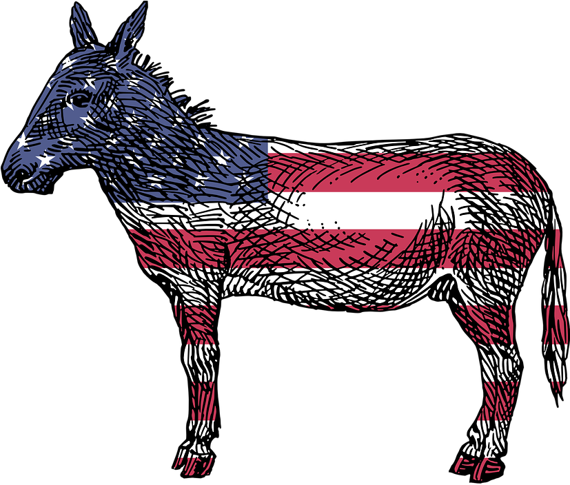 America-2025465 - Reasons To Vote For Democrats: A Comprehensive Guide (640x542), Png Download