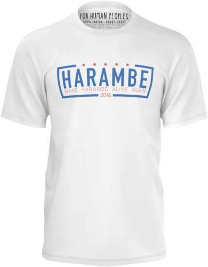 Download Shirt PNG Image with No Background - PNGkey.com