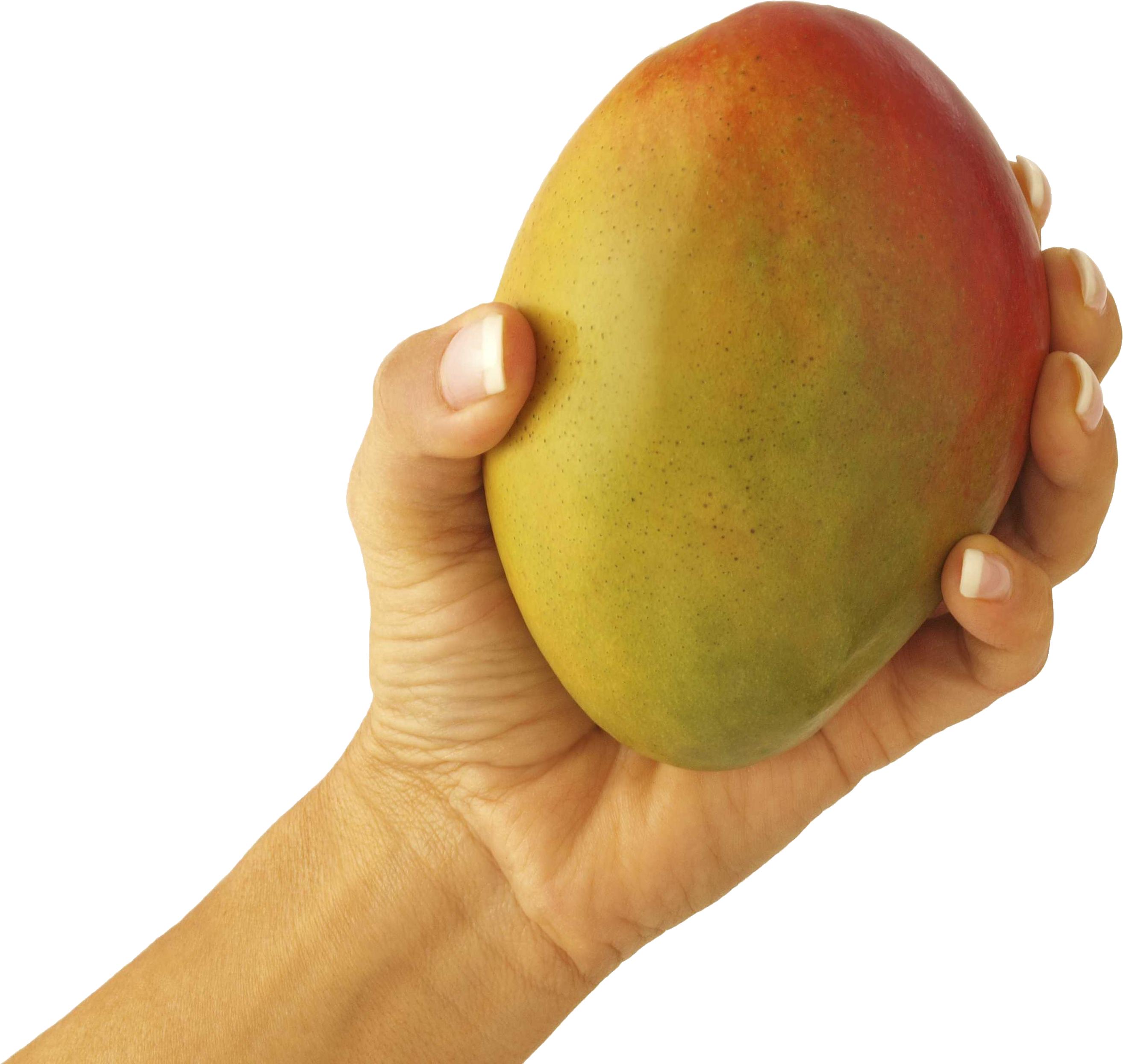 Let That Mango Memes (2628x2490), Png Download