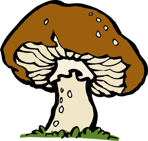 Mushroom (600x570), Png Download