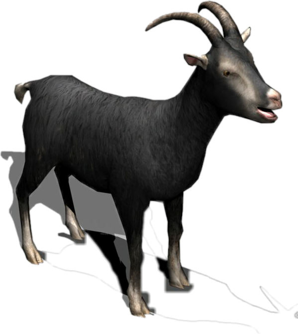 Black Goat Horns Milk Meat Cattle Sheep Eid Muslim - Goat (599x670), Png Download