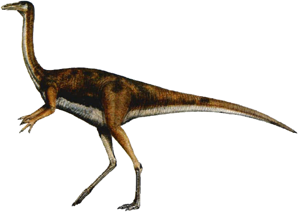 Elaphrosaurus Dinosaur - Gallimimus Dinosaur (611x448), Png Download