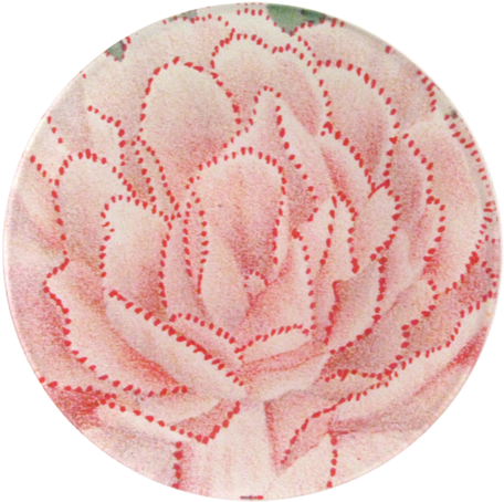 Pink Red Dot Dianthus - Colourpop Super Shock Shadow (500x500), Png Download