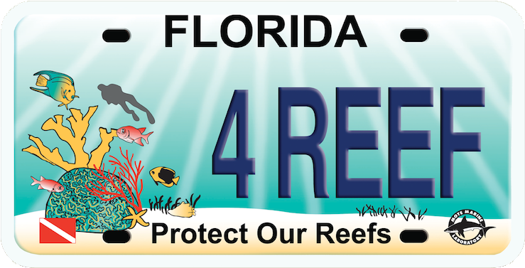 Protect Our Reef Plate - Florida For Bernie Large Tote Bag, Natural, Large (800x438), Png Download