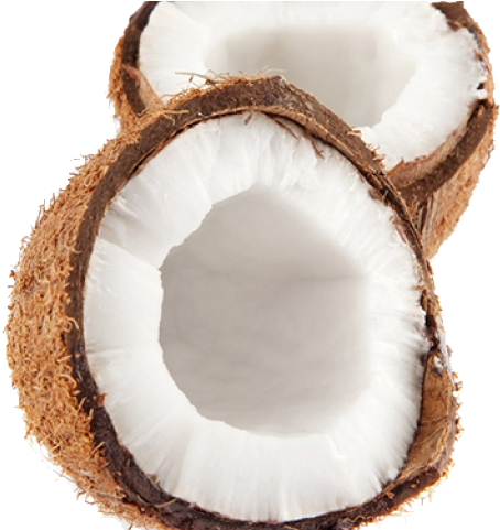 Coconut (640x480), Png Download
