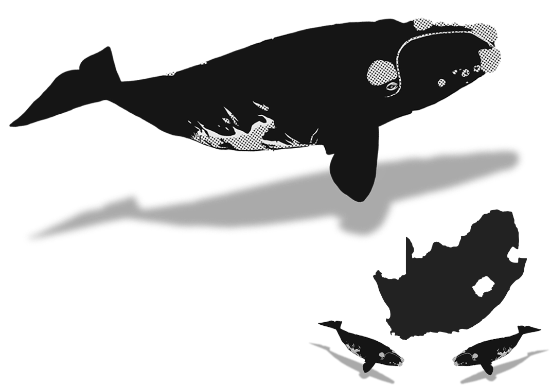 October - Nelson Rholihlahla Mandela: Reflections Through The (1200x813), Png Download