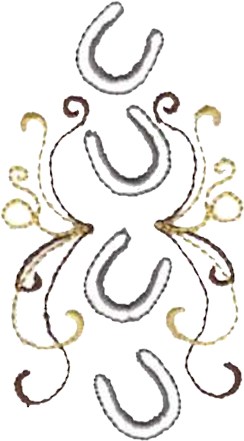 Horseshoe Clipart Border - Illustration (450x450), Png Download