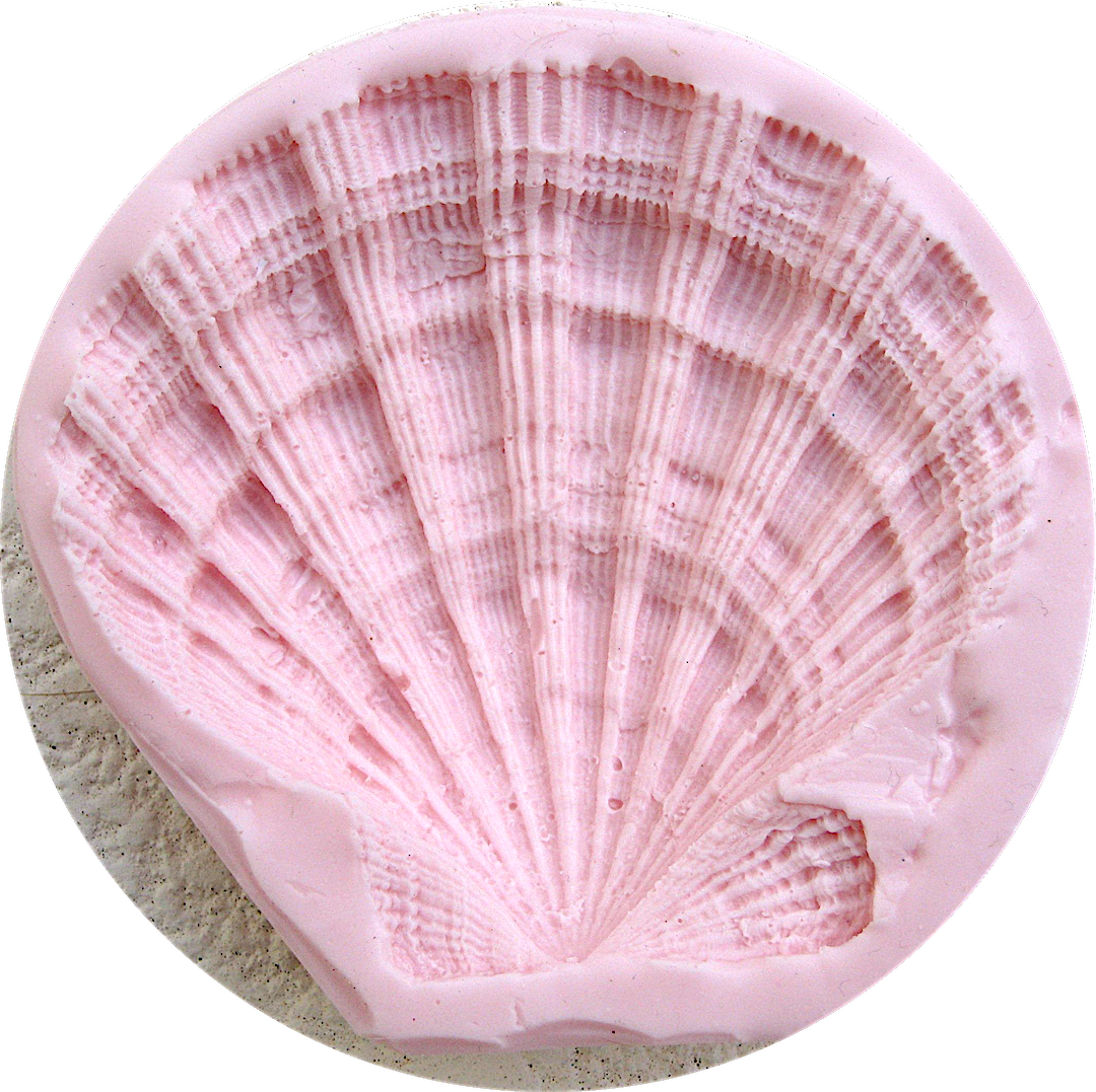 Lion's Paw Seashell - Lion (1080x1077), Png Download