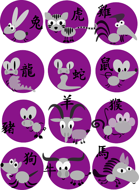 Animals, Horoscope, Chinese Horoscope, Dog, Dragon - Chinese Horoscope Animals Cube Ottoman (467x640), Png Download