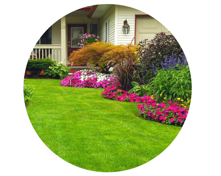 Services Include - - Amazing Lawns And Landscapes (940x788), Png Download