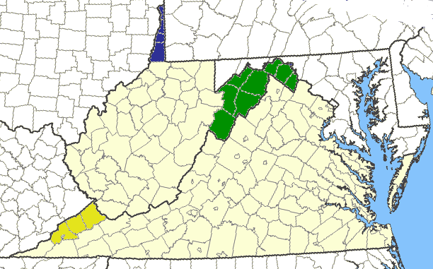 West Virginia's Borders Could Have Included A Panhandle - Jamestown Virginia On The Map (612x381), Png Download