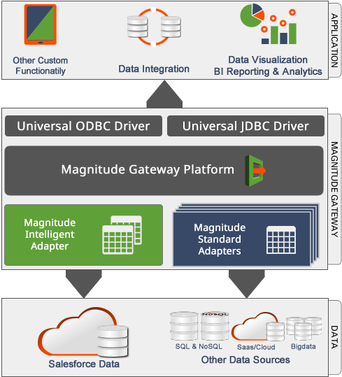Magnitude Gateway Data Conenctivity Diagram For Any - Data (500x550), Png Download