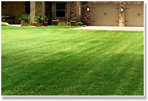 Cut Lawn (528x352), Png Download