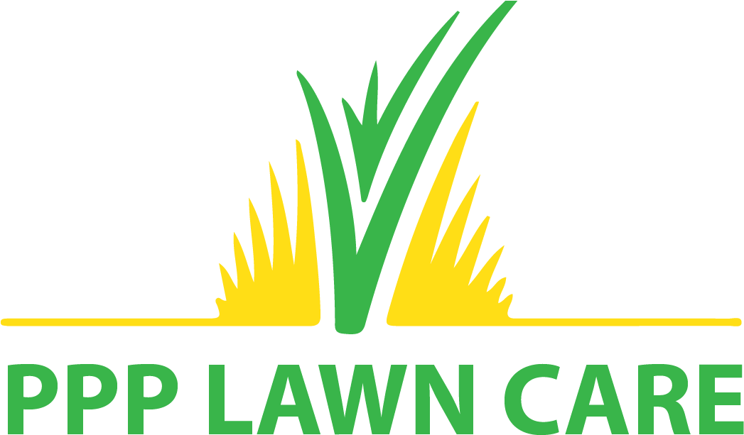Lawn Mowing - Lawn (1051x630), Png Download
