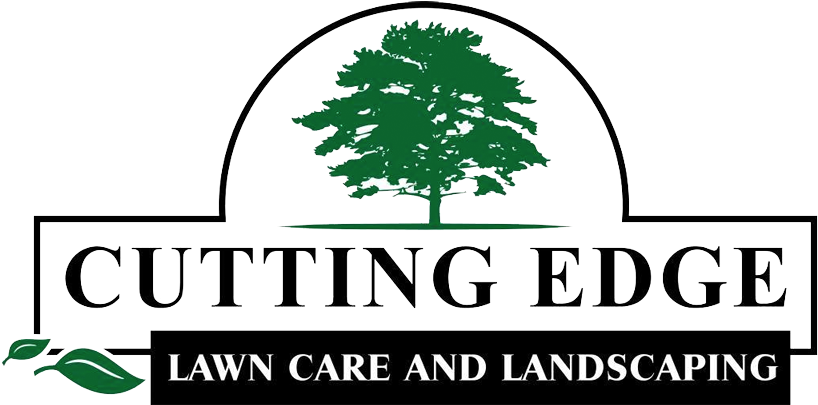 Proudly - Cayo Costa State Park (845x404), Png Download