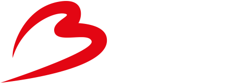 Brussels Airport Logo - 4 Brussels Airlines Logo Png (500x357), Png Download