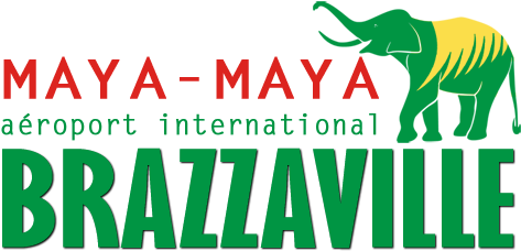 Brazzaville Airport Logo - Passport (500x241), Png Download