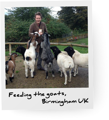 Thomas Hall Goats - Leap And The Net Will Appear Note Cards (pk Of 20) (400x450), Png Download