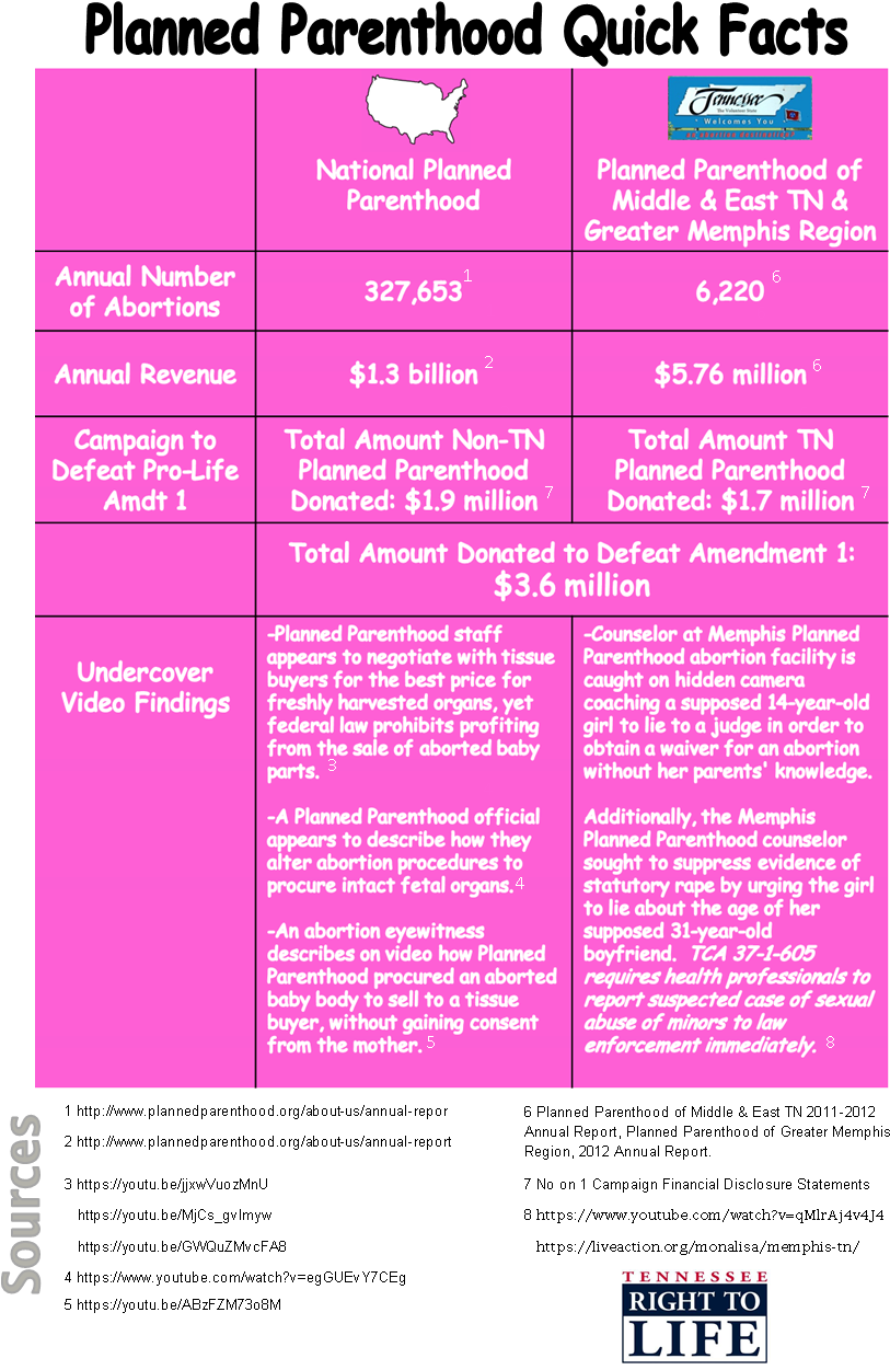 Pp Quick Facts - Tennessee Right To Life (845x1281), Png Download