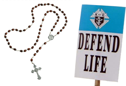 Silence Of Sodom: Homosexuality In Modern Catholicism (430x290), Png Download