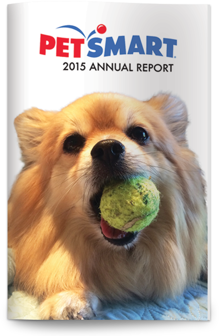 Petsmart Annual Report - Companion Dog (982x696), Png Download
