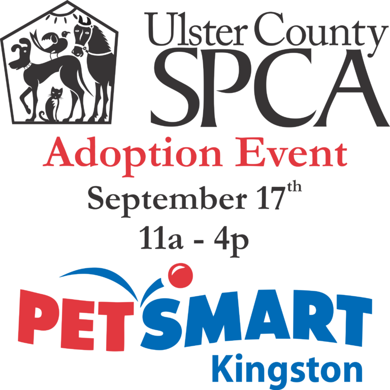 17 Adoption Event - Toys R Us Lazer Bot (768x768), Png Download