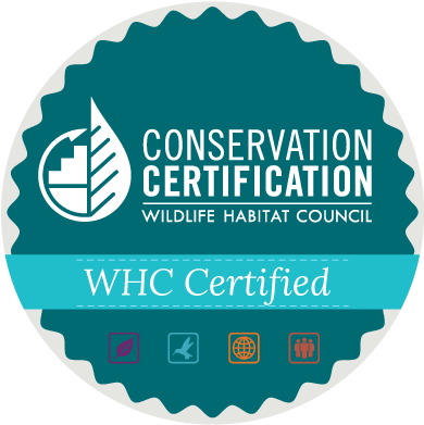 Landfill - Offer Png Without Background (414x419), Png Download