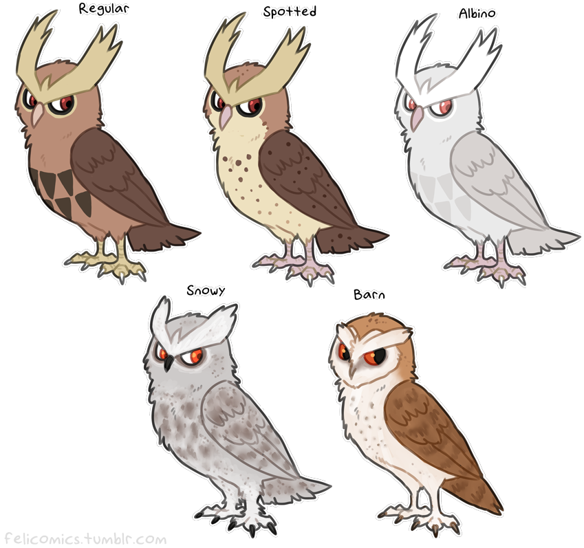 B38 - Noctowl Variations (870x814), Png Download