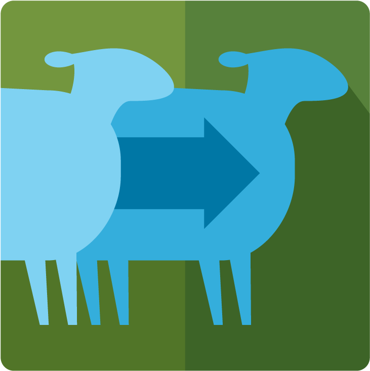 Clone - Types Of Plagiarism Icon (800x800), Png Download