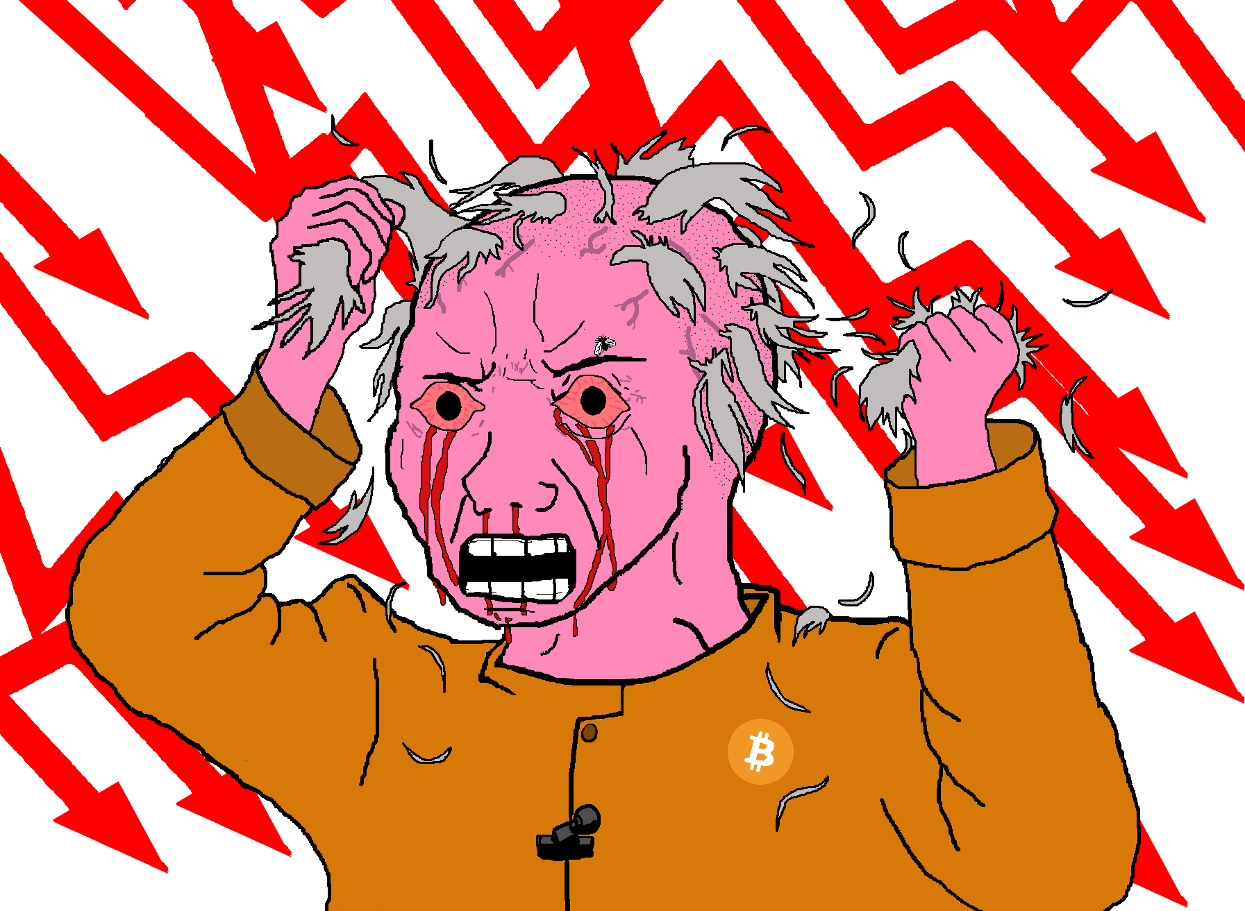 Download 4chan Bitcoin Wojak - Bitcoin Wojak PNG Image with No Background -  PNGkey.com