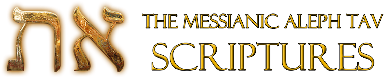 The First Word In The Bible Says Jesus Will Die On - Earrings (800x200), Png Download