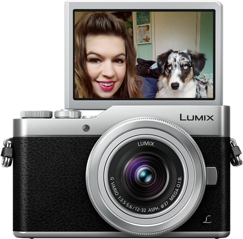 Plus Vlog Via Firmware Updates - Panasonic Lumix Dmc-gx800 Stříbrný + Objektiv 12-32mm (500x474), Png Download