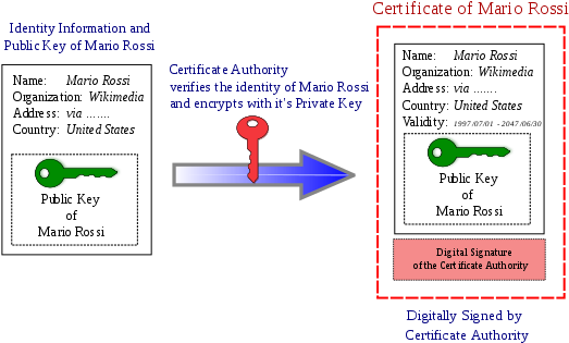 Obtain A Digital Certifacte From An Authority Digital - Public Key Certificate (550x389), Png Download
