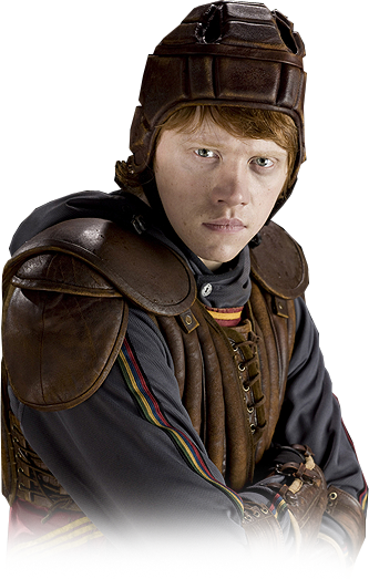 Harry Potter Png Tumblr - Ron Weasley Quidditch Tryouts (333x523), Png Download