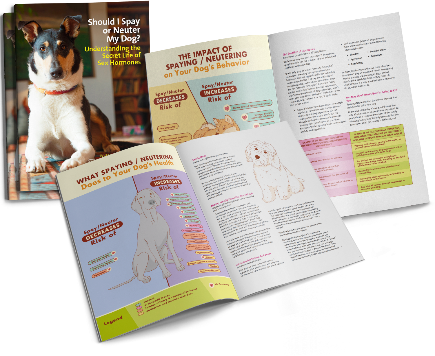 Tap To Expand - Dog (1500x1500), Png Download