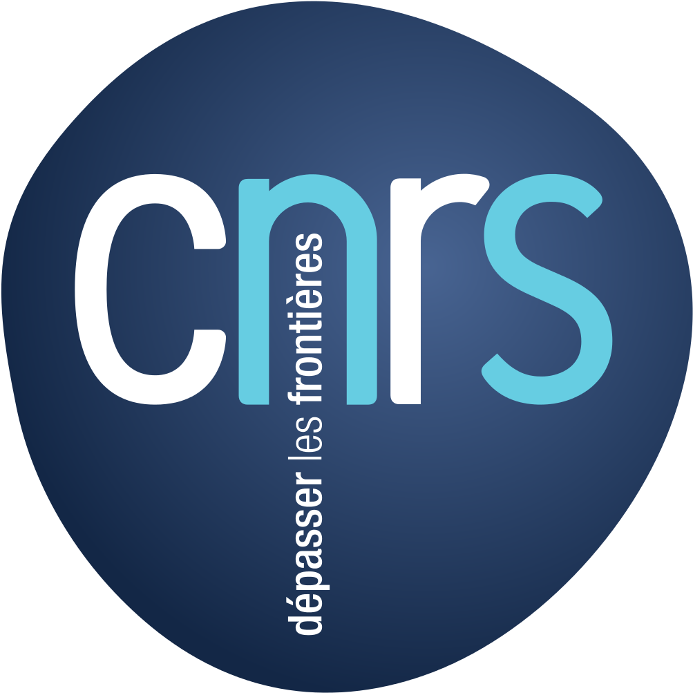 Symposium Sponsors - Logo Cnrs Vectoriel (1012x1024), Png Download