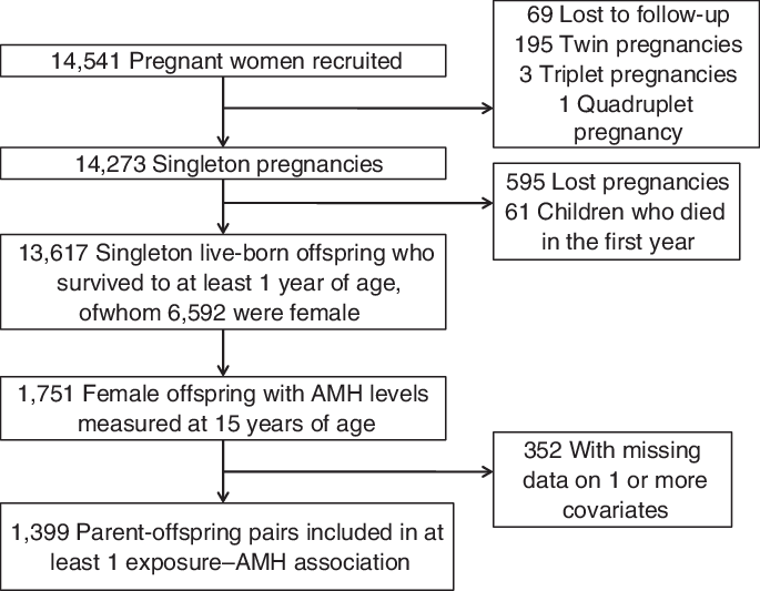 Study Population Flow Chart, The Avon Longitudinal - Avon Longitudinal Study Of Parents And Children (685x533), Png Download