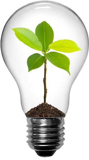 Save Energy - Save Earth - Light Bulb With Plant (463x580), Png Download